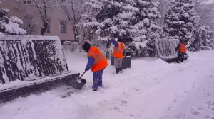 За ночь в Алматы выпало 14 см снега