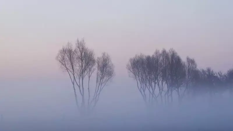 Тұман түсіп, көктайғақ болады: 10 қаңтарда бірнеше өңірде ескерту жасалды