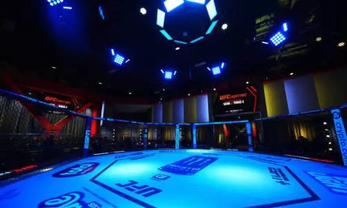 Россия нокаутом проиграла первый бой года в UFC