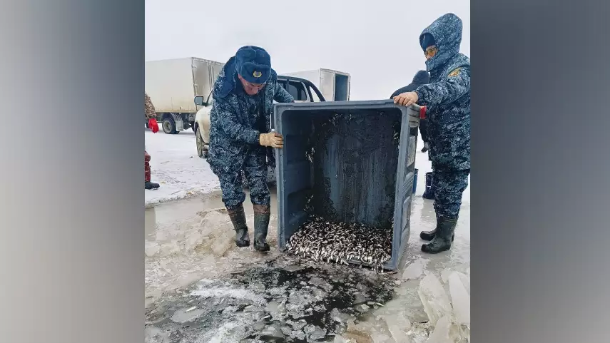 В Атырауской области спасли 1,8 миллиона мальков рыб