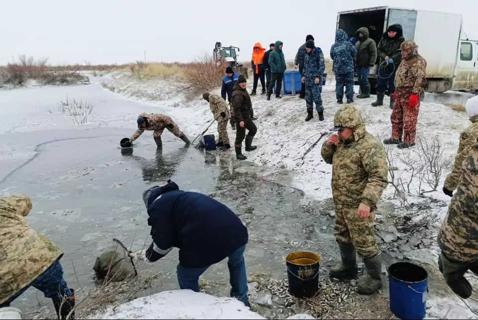 1,8 млн штук молоди рыб спасли на водоканале в Атырауской области