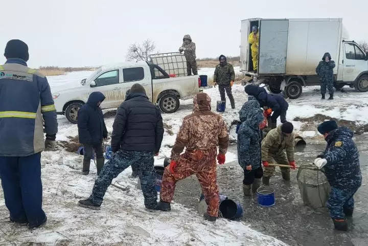 3,2 млн штук молоди рыб спасли на водоканале в Атырауской области