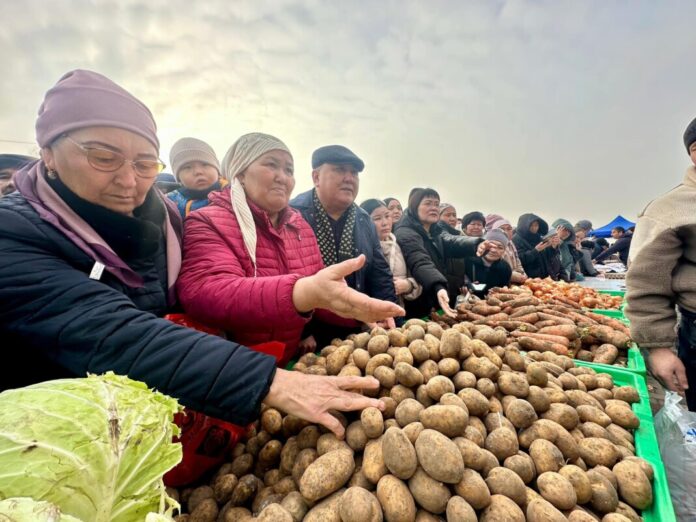 Картоп 100 теңгеден сатылды