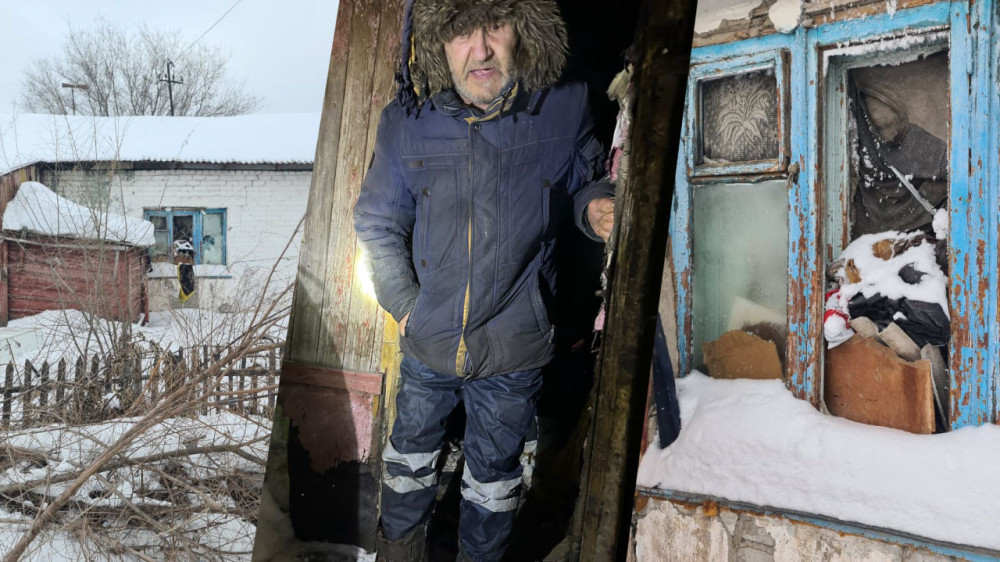 Бродячие собаки спасли казахстанца: история о любви, боли и человечности