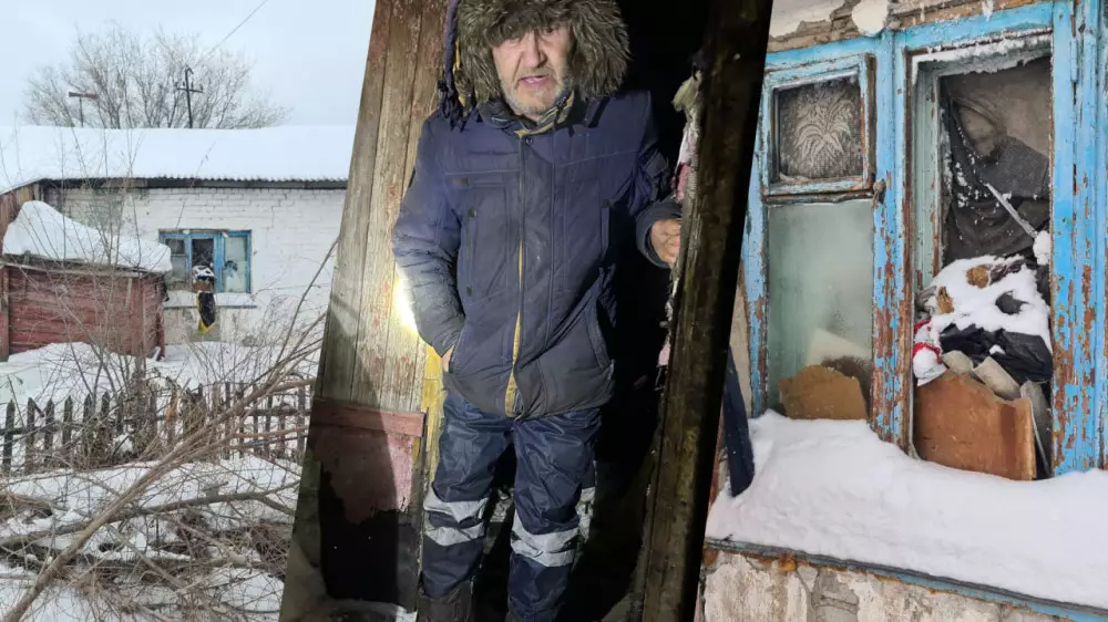 Бродячие собаки спасли казахстанца: история о любви, боли и человечности