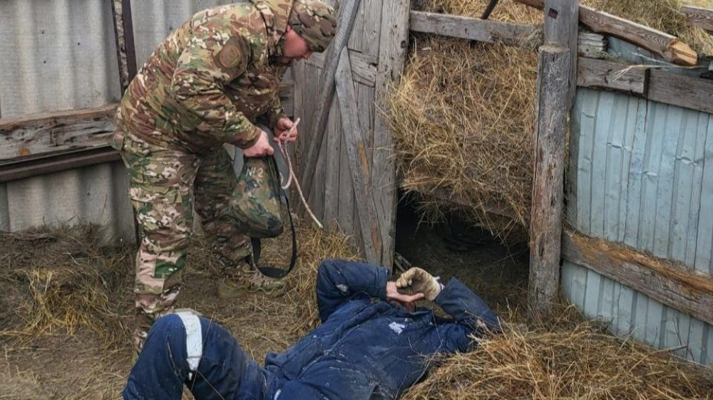 Казахстанца придавило рулоном сена весом в 300 килограмм