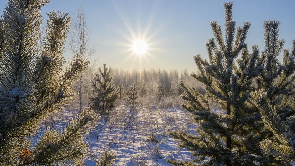 От -25 до +20 градусов: погода в Казахстане на 24 февраля