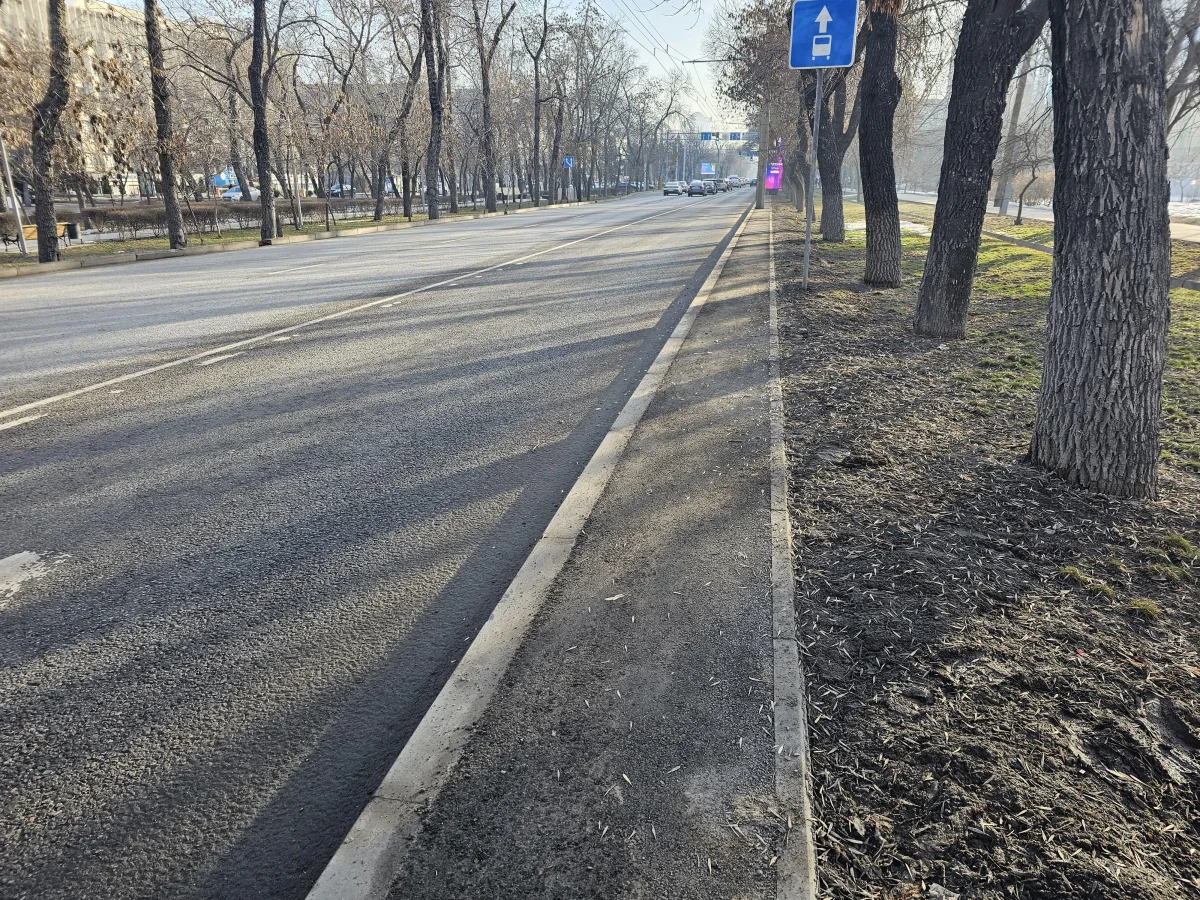 В Бостандыкском районе Алматы идет активная работа по благоустройству магистральных улиц