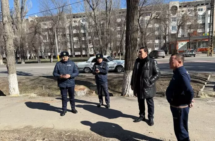 Заңсыз тал кескен тұрғын жаза арқалайды