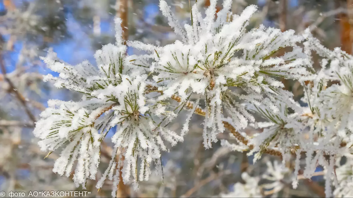 Бүгін -22°C аяз болады