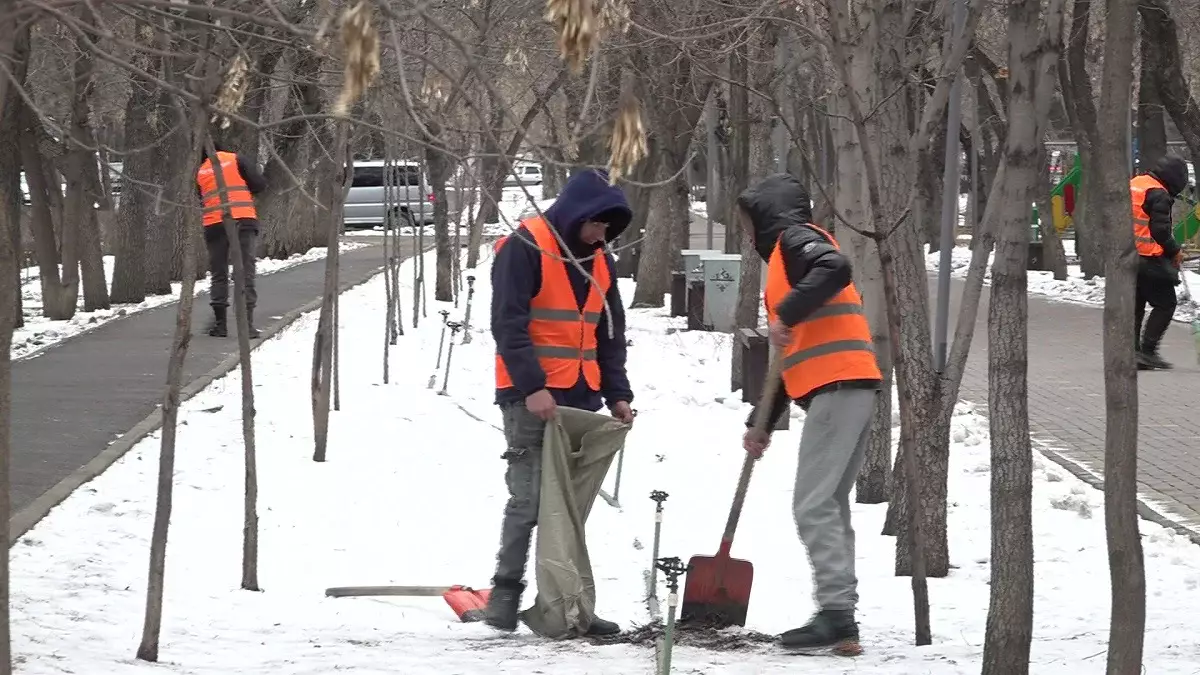 Алматы - біздің ортақ үйіміз: 12 мыңға жуық қоқыс жәшігі орнатылады