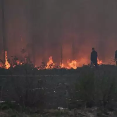 В Японии продолжает бушевать крупнейший за 33 года лесной пожар