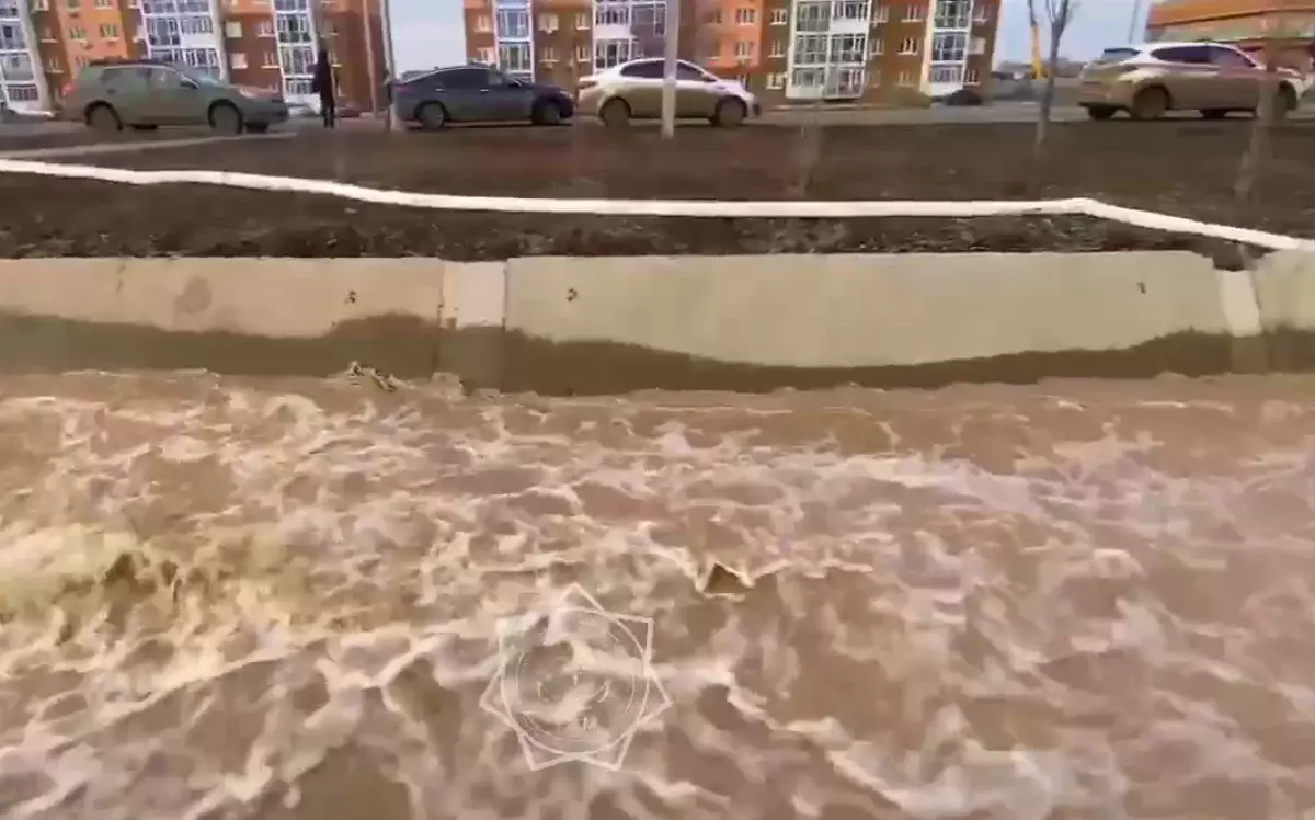 Спасатели откачали 5 тысяч кубометров талой воды в ЗКО (ВИДЕО)