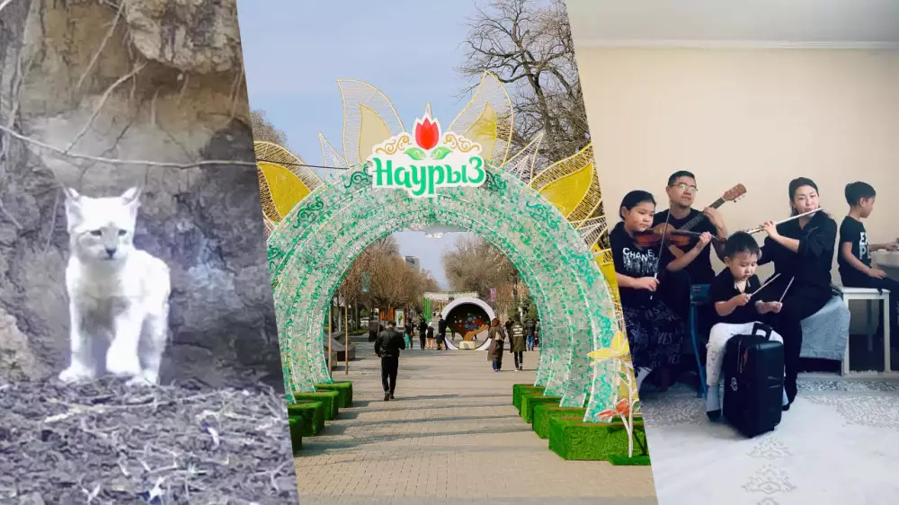 5 позитивных казахстанских новостей за сегодня, которые стоит узнать