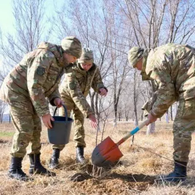 Более тысячи саженцев посадят в военном городке Гвардейского гарнизона