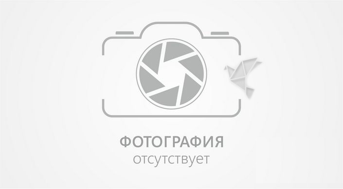 Рахмонов? Экс-чемпион UFC выбрал желаемого соперника