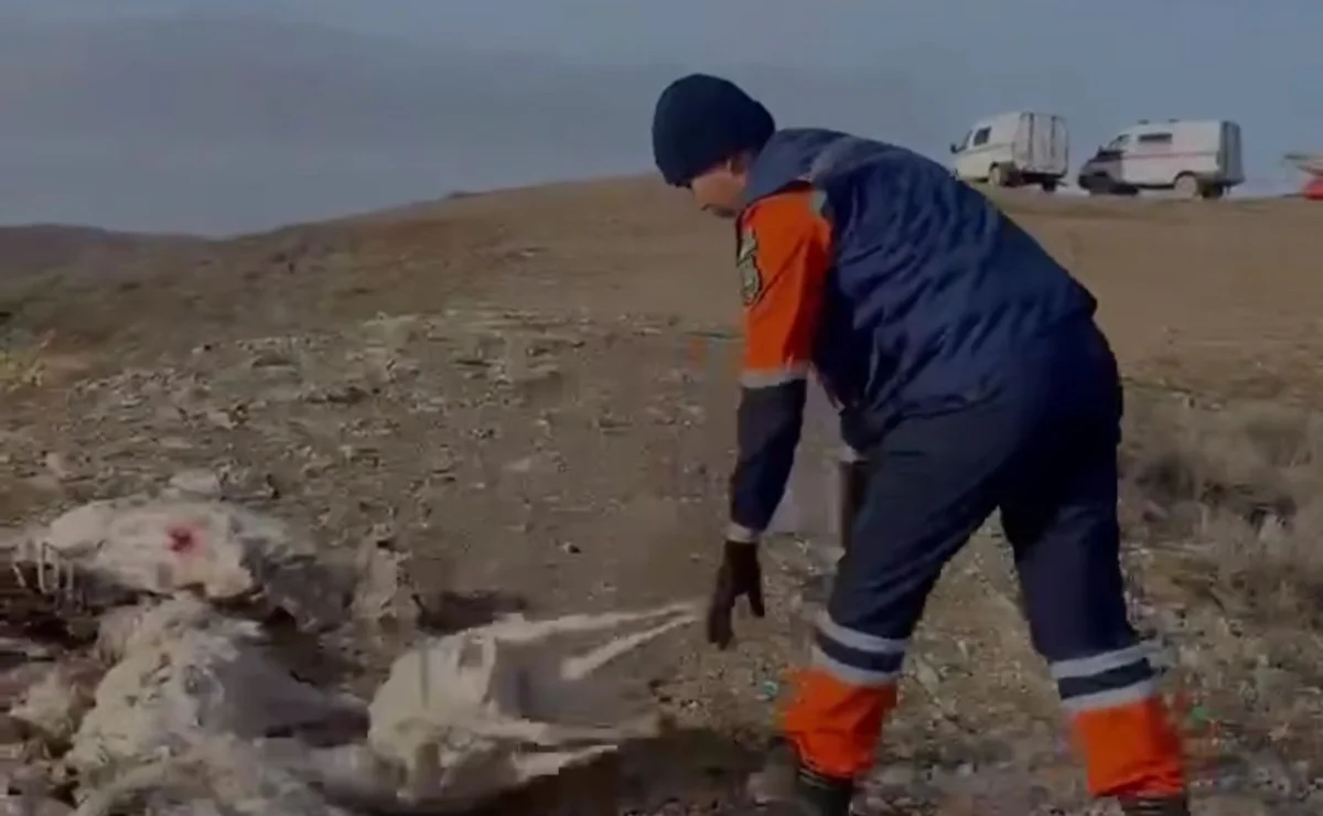 Еще десятки мертвых сайгаков нашли на водохранилище в области Улытау (ВИДЕО)
