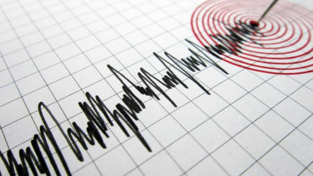 Тынық мұхитындағы жер сілкінісінен цунами қаупі туындады