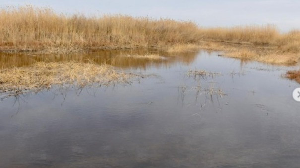 Жамбыл облысында қалталы кәсіпкер Шу өзенін бұрып алған