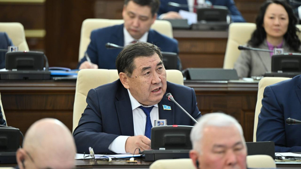 “Алдын ала жоспарланған арандату“: депутат ту ұстап суретке түскендер туралы
