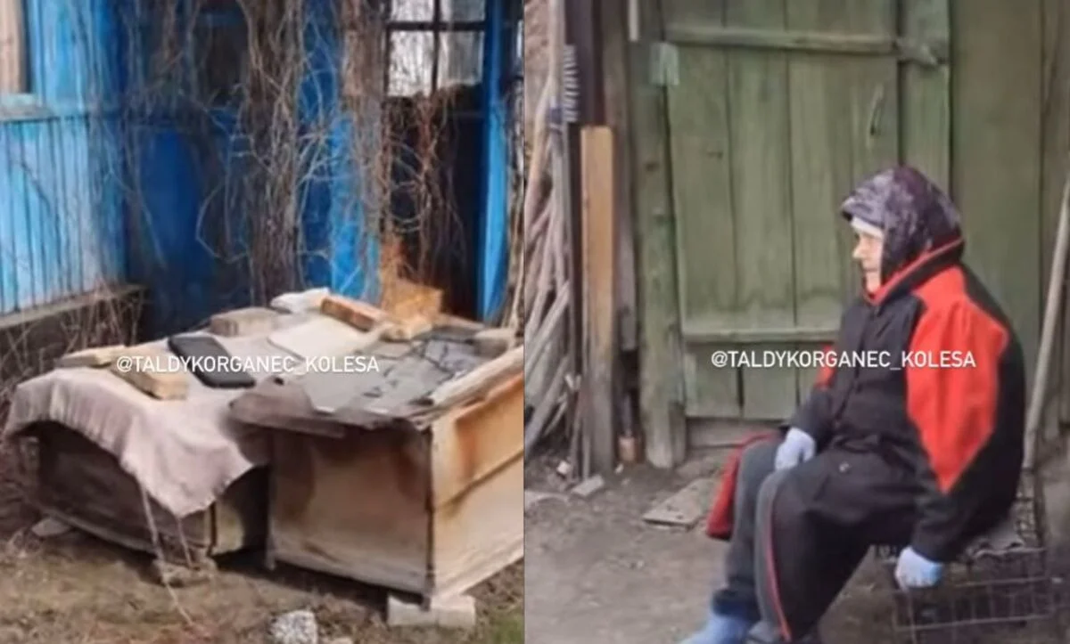 Вандалы сломали окна и подожгли дом пенсионерки в Жетысу (ВИДЕО)
