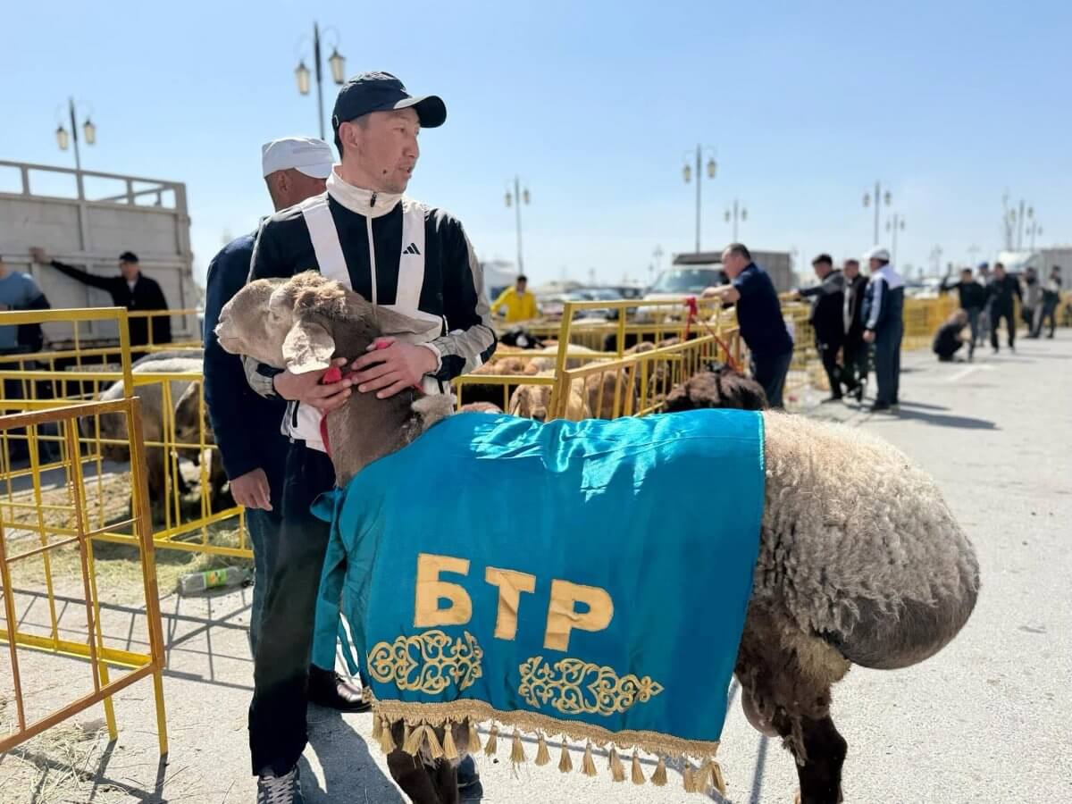 В Туркестанской области прошла международная выставка животноводства