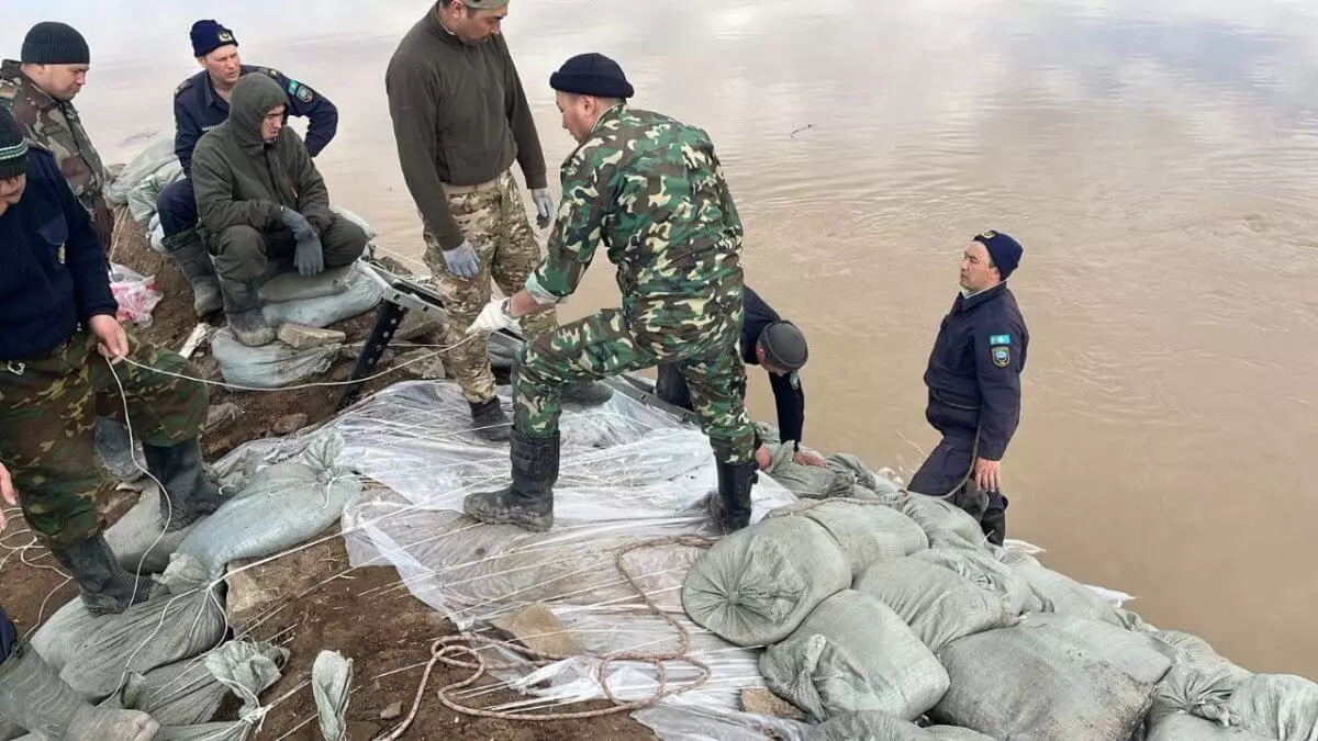 Село в Акмолинской области защитили от наводнения