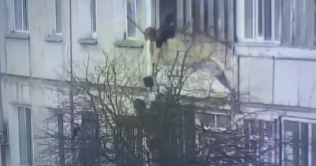   Полицейлер бүтін бір отбасыны жанып жатқан пәтерден құтқарды   