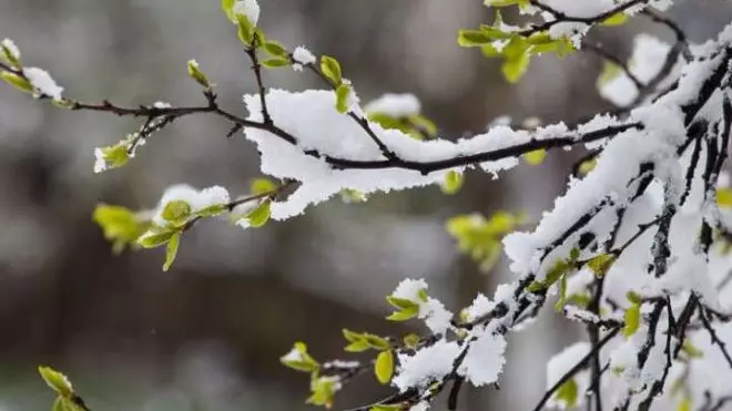 Елімізде күн күрт суытады