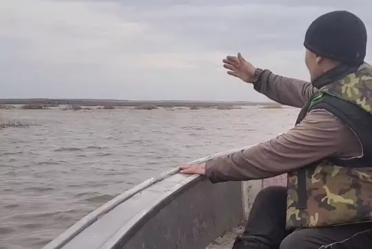 Рыбака сняли с дерева в Акмолинской области