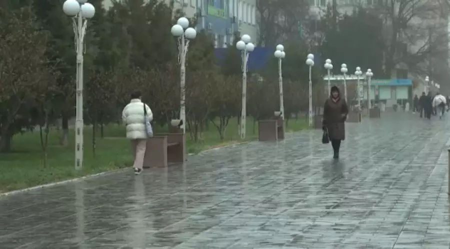Заморозки прогнозируют в четырёх регионах Казахстана
