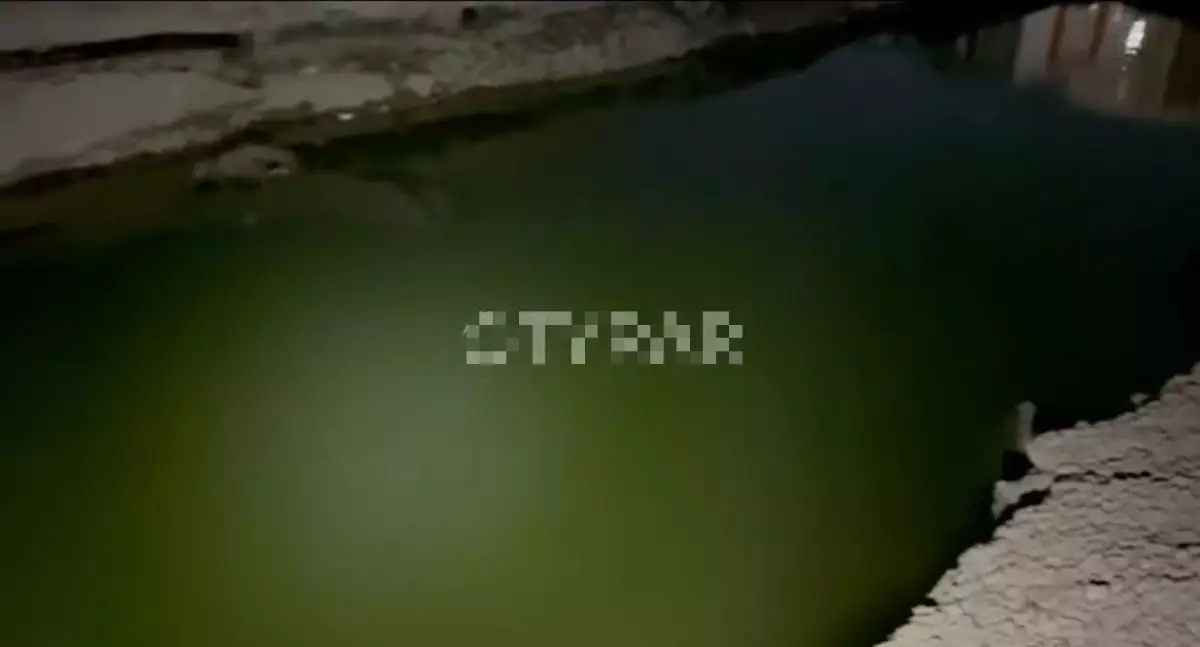 Шымкентте жеті жасар бала су толы шұңқырға құлап, қаза тапты