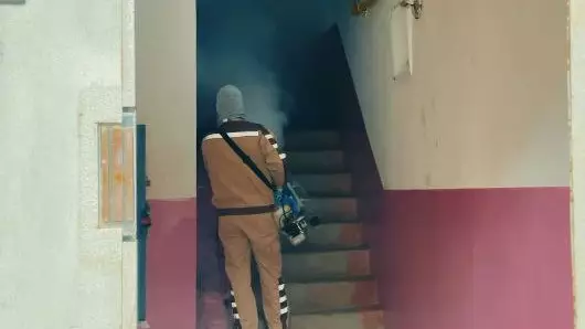 Атырауда маса улау жұмыстары басталды