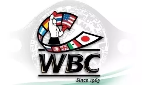 Казахстанские боксеры узнали позиции в обновленном рейтинге WBC