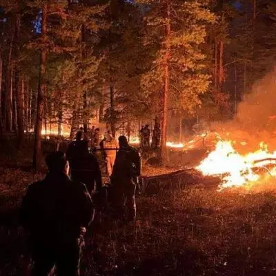 Бектенов раскритиковал действия госорганов при пожарах в области Абай и Павлодарской области