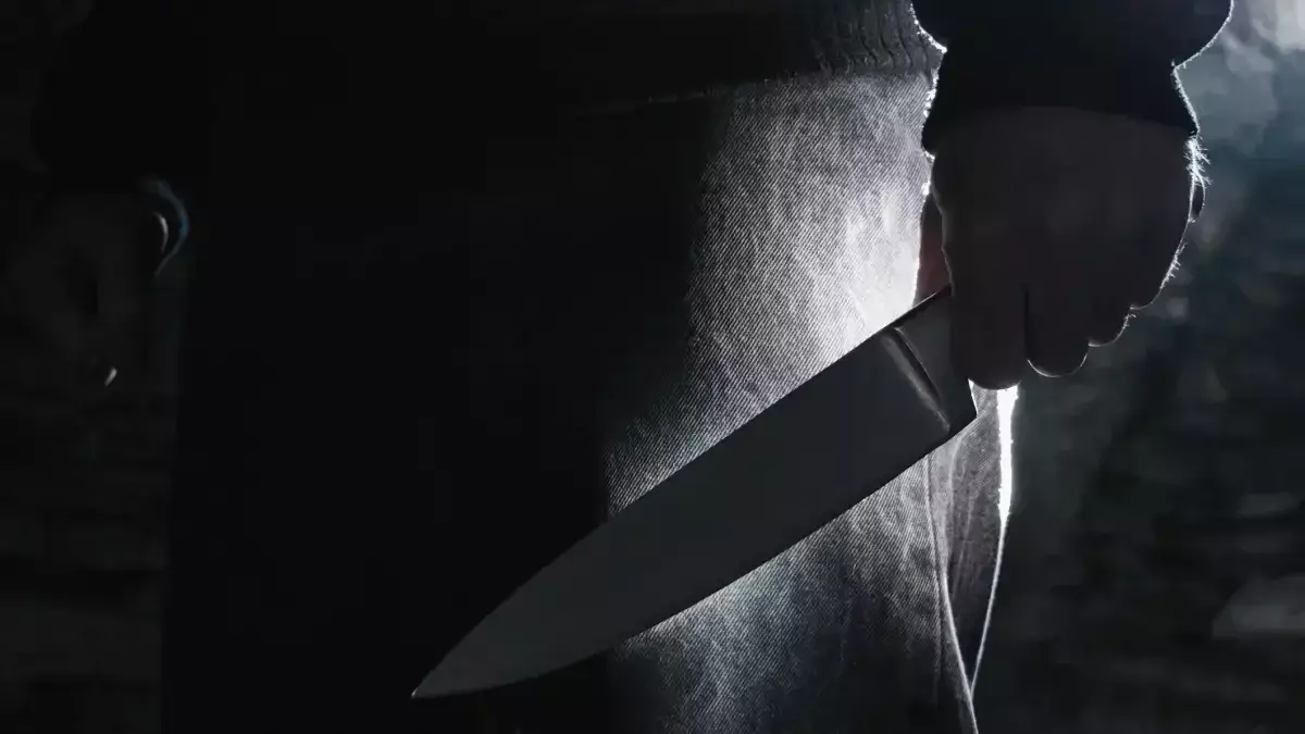 Мәскеуде 15 жастағы қыз әпкесін қорғамақ болып, әкесін пышақтап өлтірді
