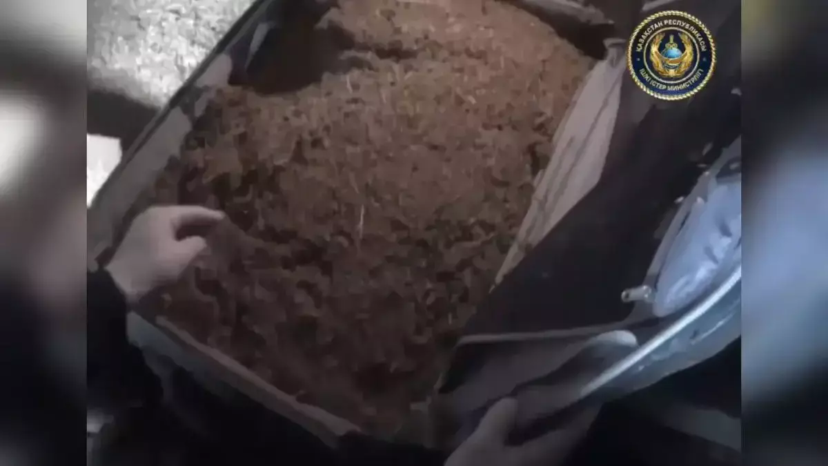 Павлодар облысында үйінде ондаған килограмм есірткі сақтаған адам ұсталды