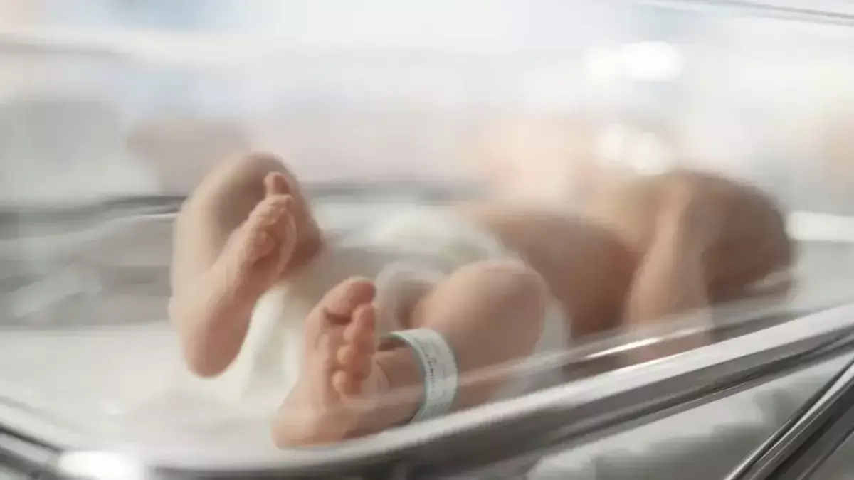 Мексикада жасанды интеллект көмегімен алғашқы сәби дүниеге келді
