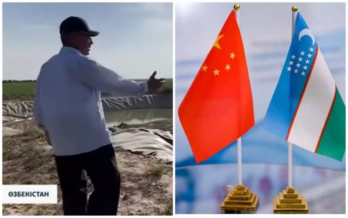 “Өз еркіңмен бермесең, түрмеге жабам”: Өзбекстан Қытай кәсіпкерлеріне жер беріп жатыр