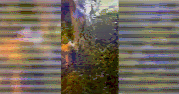 Алматыда марихуананың ірі партиясы тәркіленді