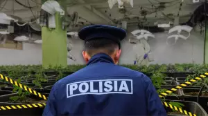 Алматыда марихуананың ірі партиясы тәркіленді 