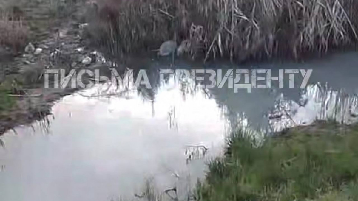 Алматы облысында қалдық сулар көлге төгіліп жатыр