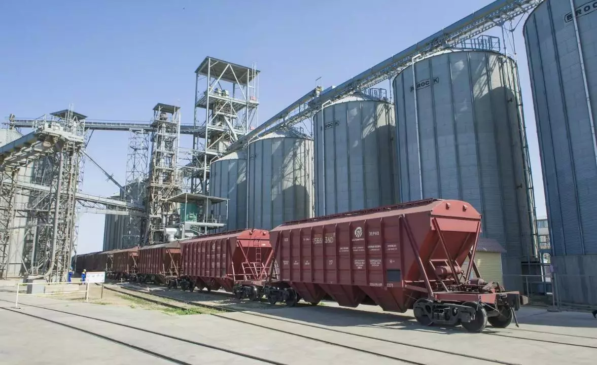 Экспорт зерна нового урожая составил 7 млн тонн