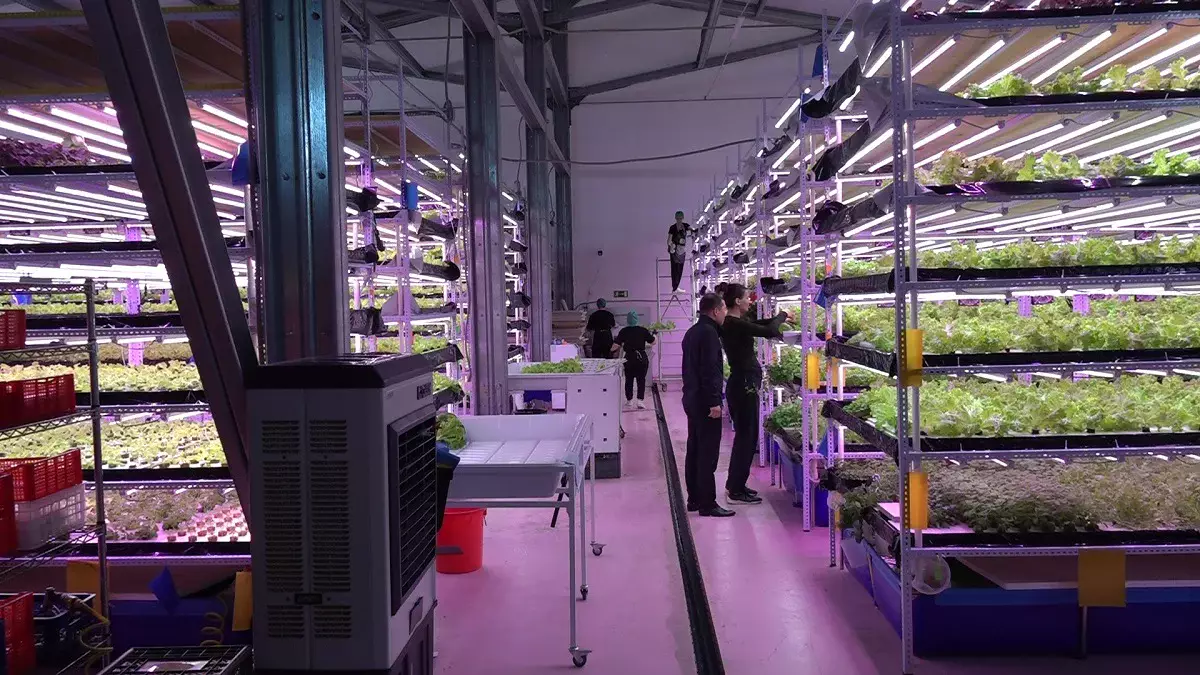 Индустриальная зона: сколько продукции произвели алматинские предприниматели