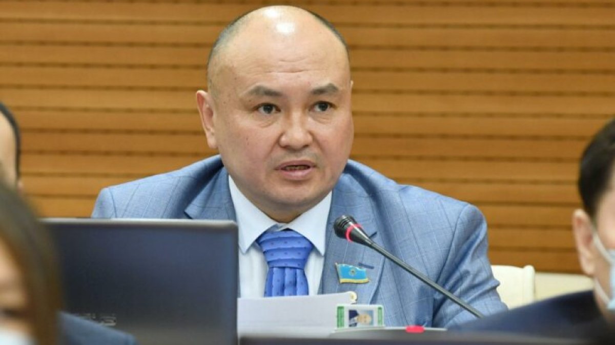 «Я не курю, но я балдею»: Мәжілісте депутат даулы мәселе көтерді