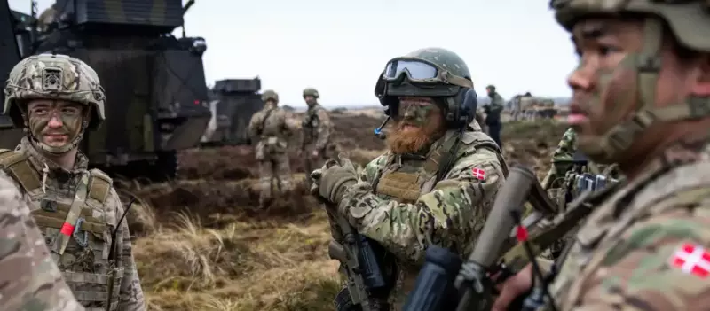 Датские солдаты поедут учиться дронам в Украину