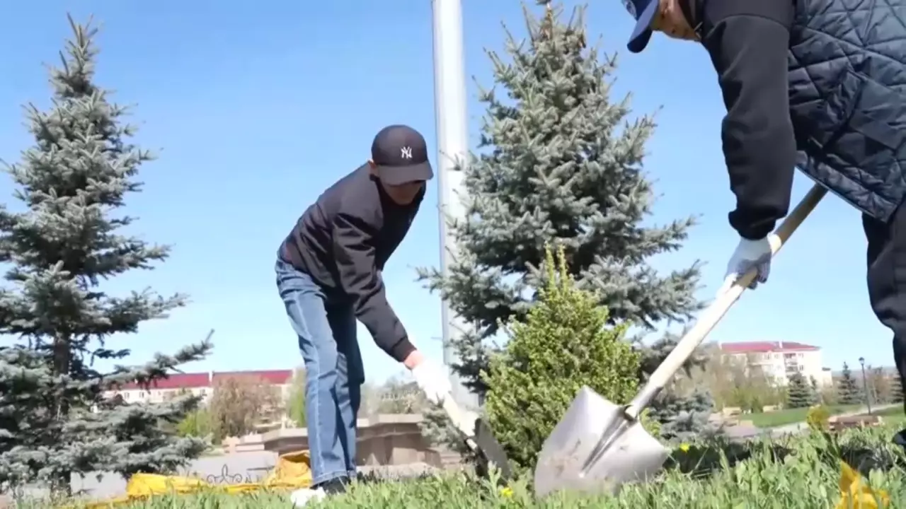 Талдықорғанда 200 түп көшет егілді