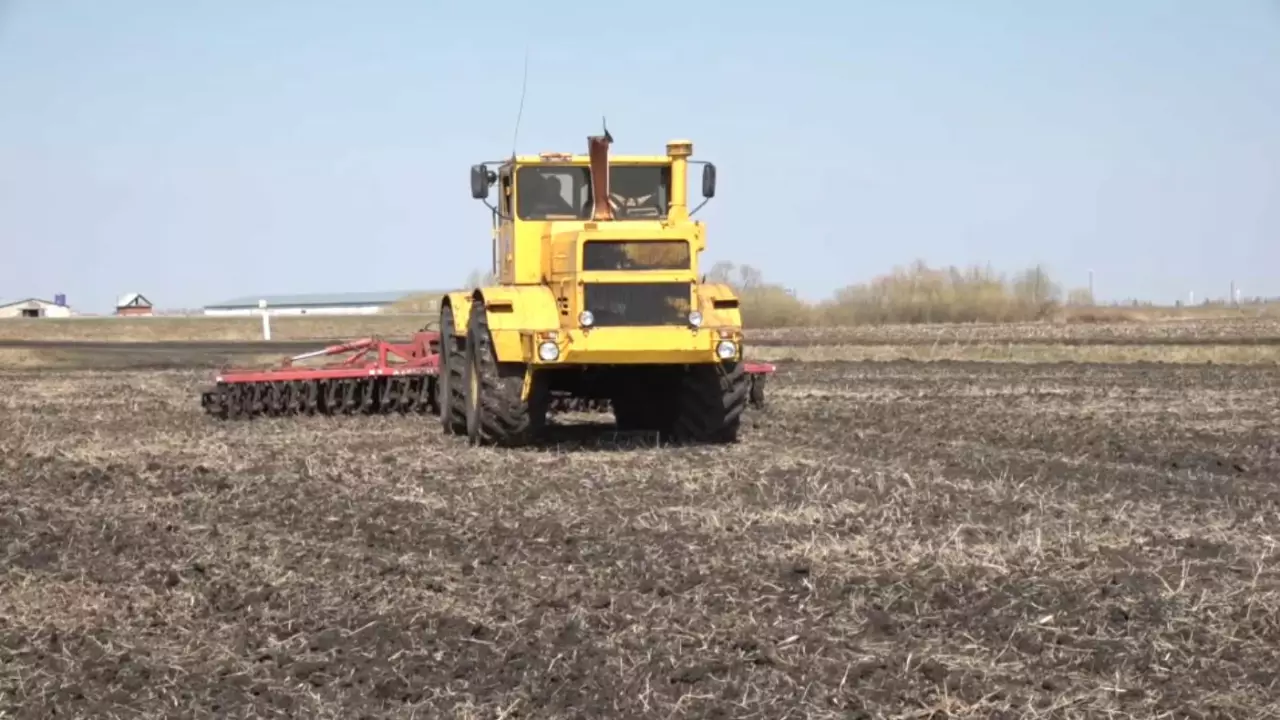 Солтүстік Қазақстанда көктемгі дала жұмыстары басталды