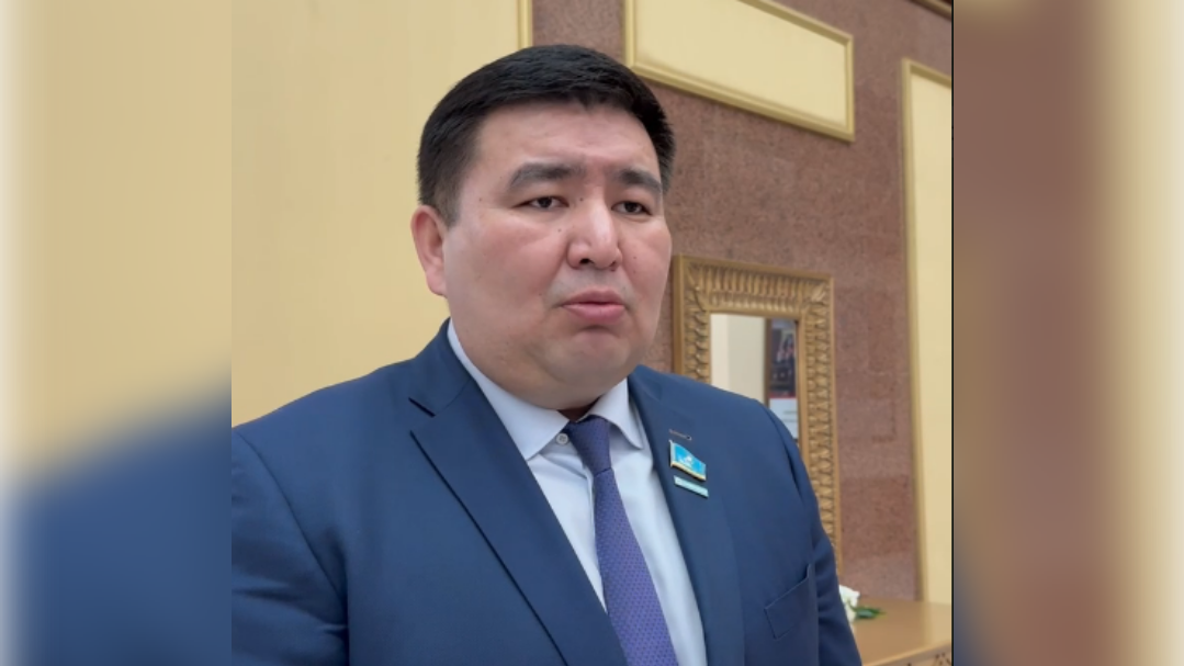 Депутат тауарын сатып, пәтер ойнататындарды жазалауды талап етті