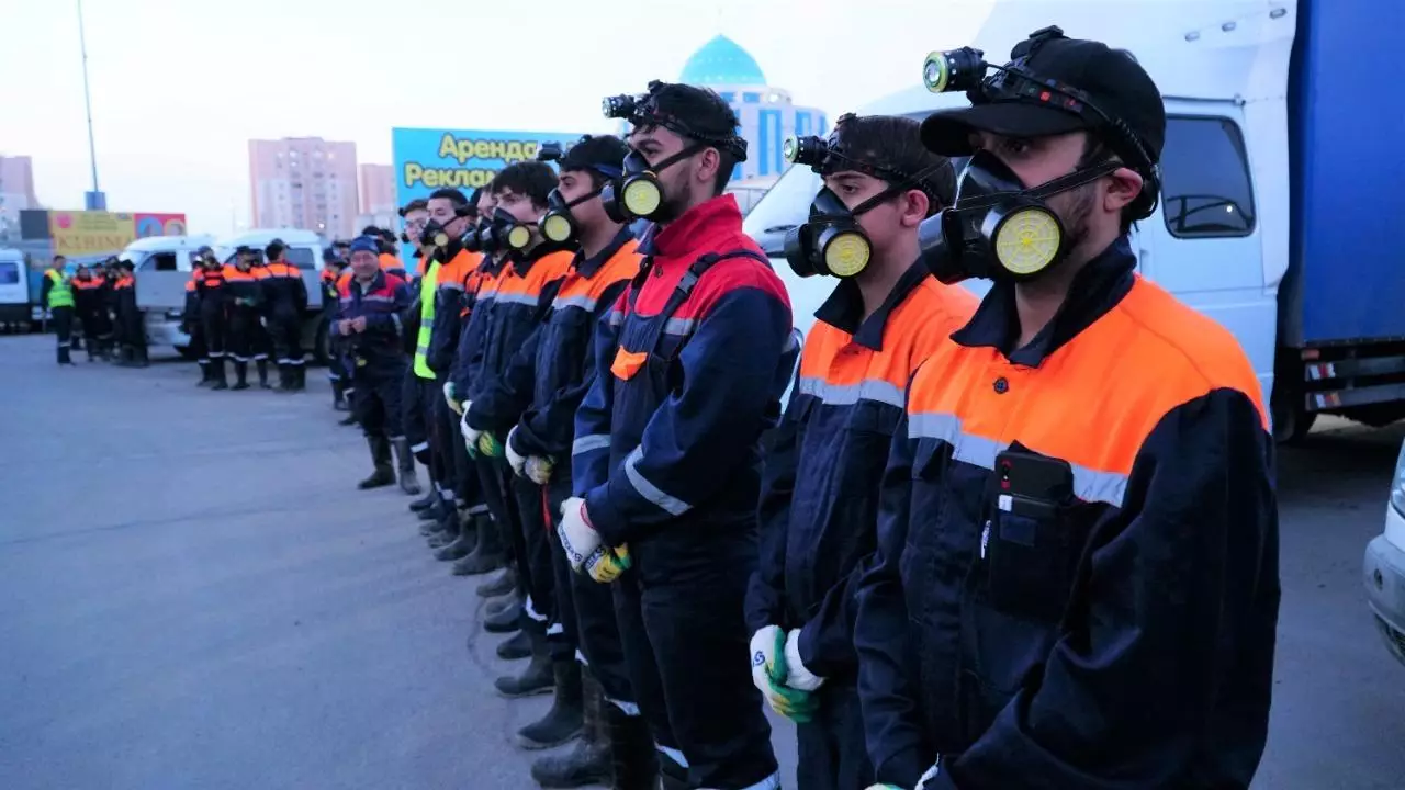 Столицу очищают от назойливых насекомых